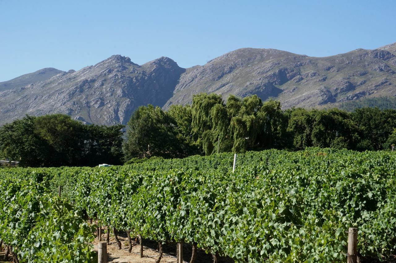 5 Pierre Jourdan Villa Franschhoek Luaran gambar